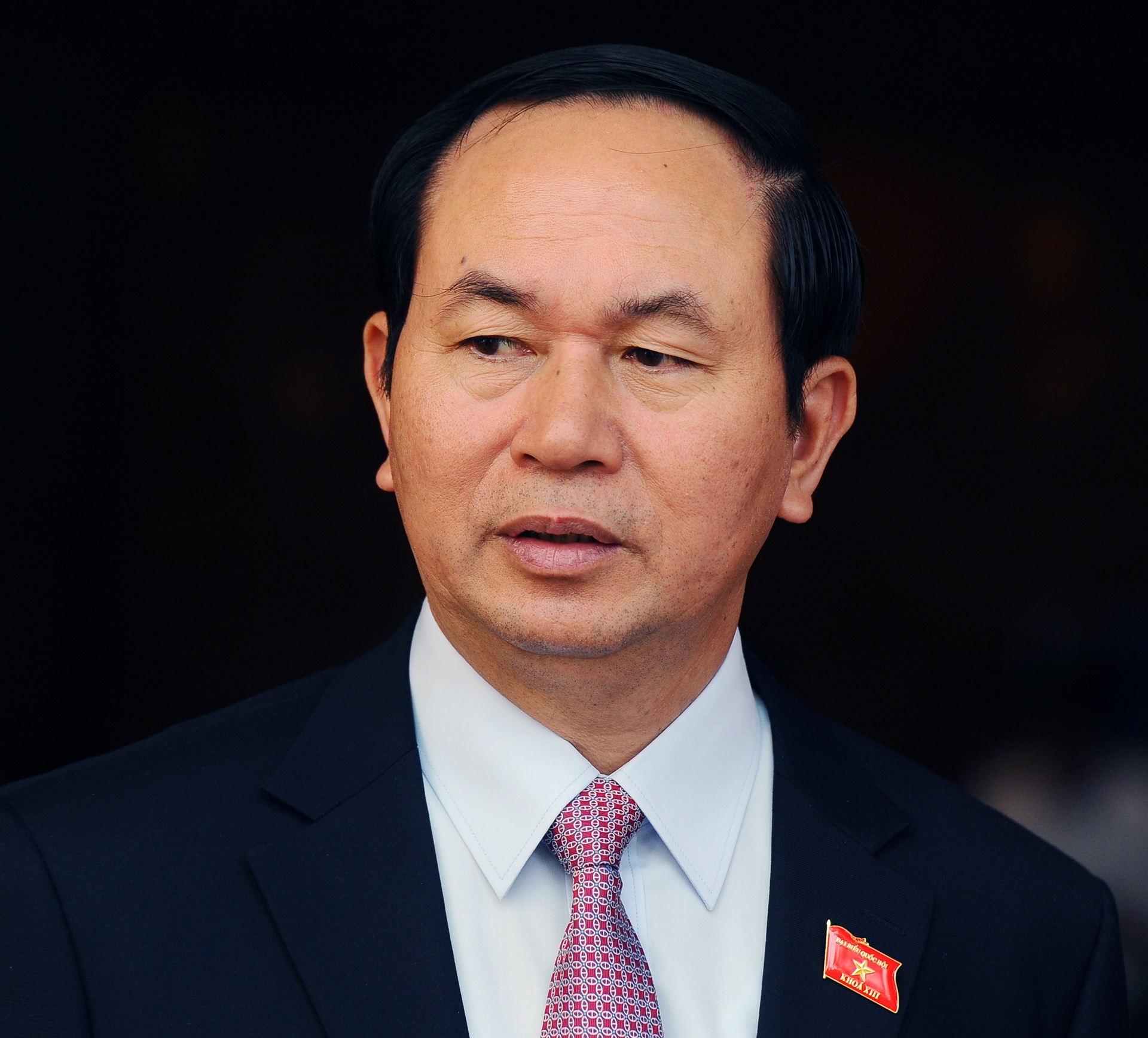 chu tich nuoc tran dai quang anh 1