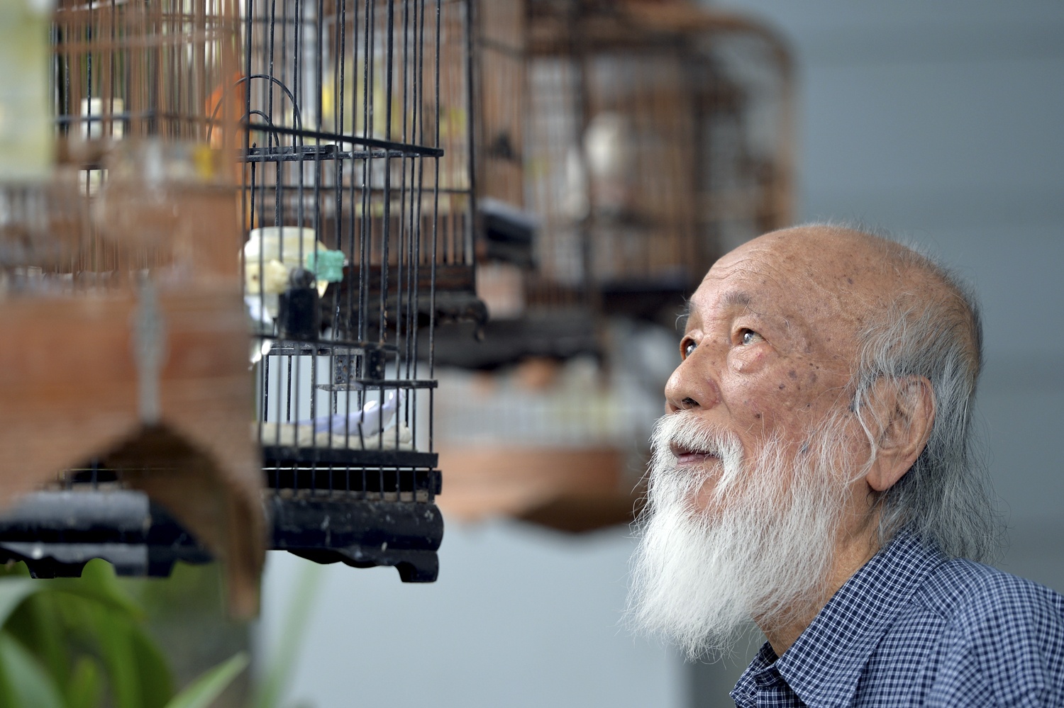 PGS Van Nhu Cuong va nguoi phu nu lang le khoc ngoai hanh lang hinh anh