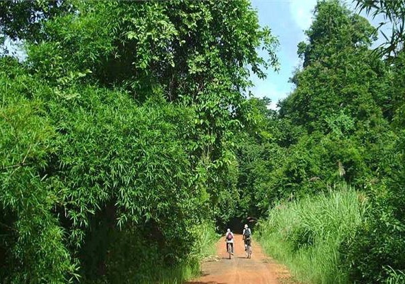 Que nha cua ca sau anh 4