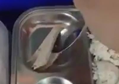 Phu huynh to suat com co mieng cha 'nhu to giay' hinh anh