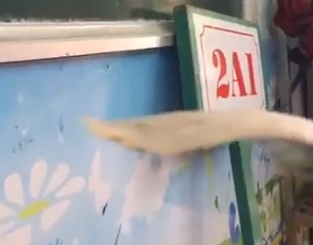 bua an 13.000 dong anh 1