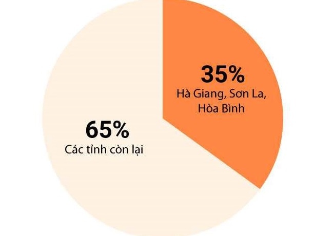 Hoa Binh bao cao Bo GD&DT ve diem thi nghi van cao bat thuong hinh anh