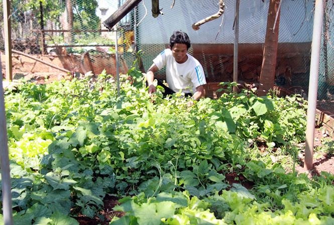 Giao vien hop dong anh 1