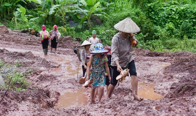 Bo truong GD&DT yeu cau dam bao cho hoc sinh vung mua lu hinh anh