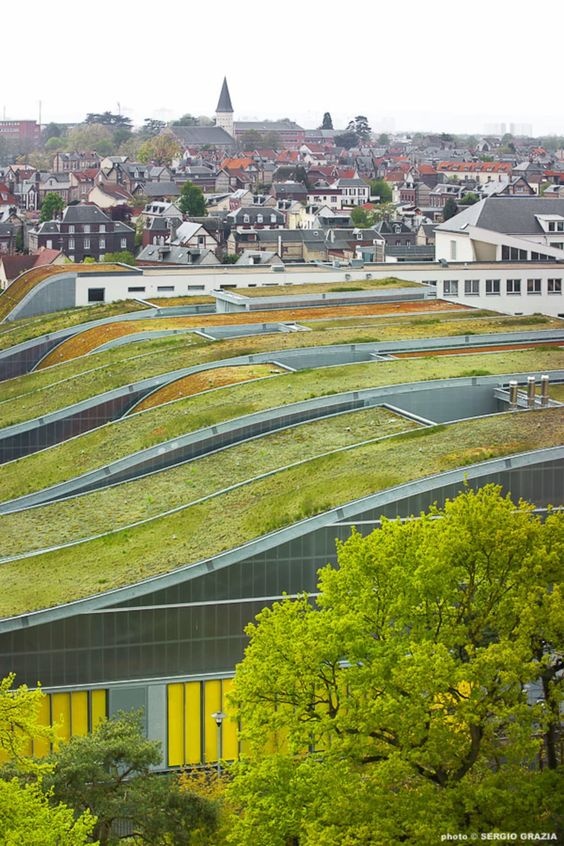 trường học kỳ lạ ảnh 12 truong hoc ky la anh 12