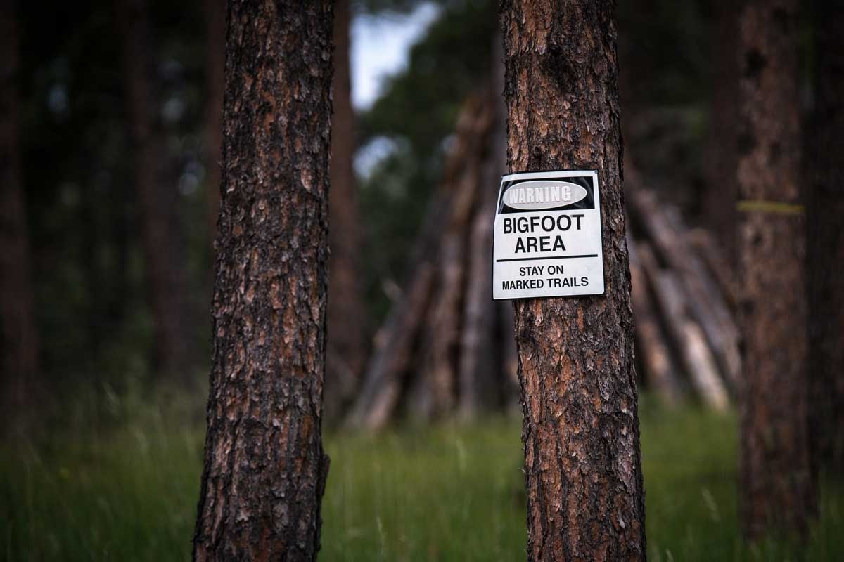 Khoa hoc la lung tren the gioi anh 7