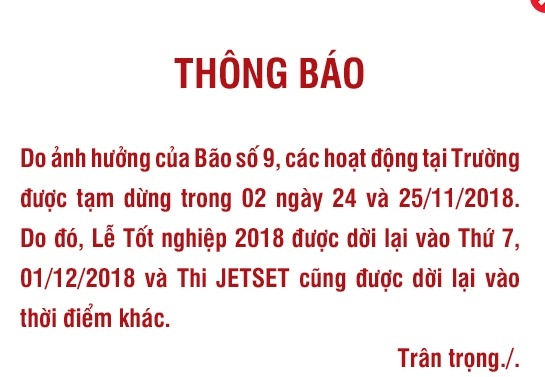 con bao so 9 anh 7