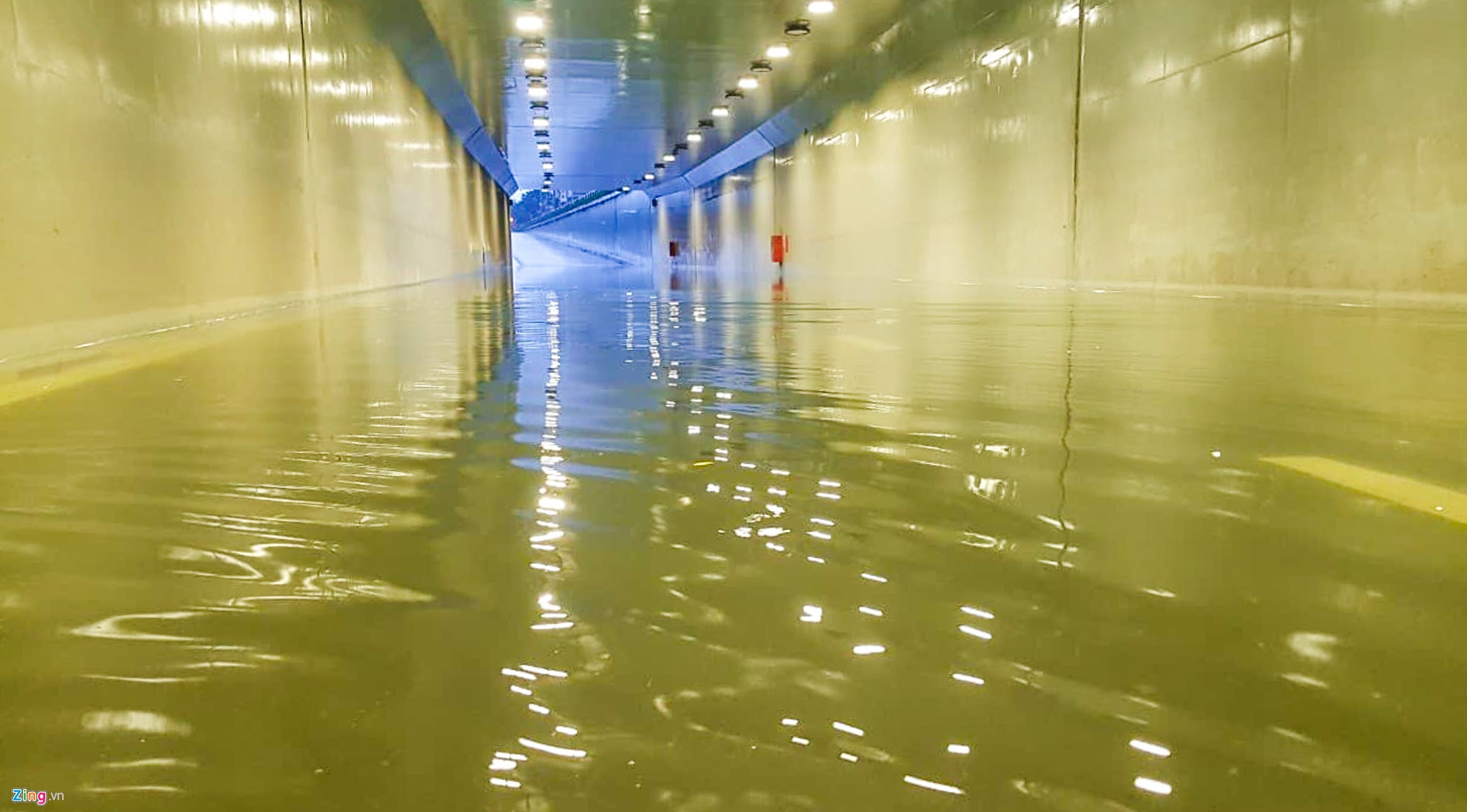 nghi hoc tranh bao anh 1