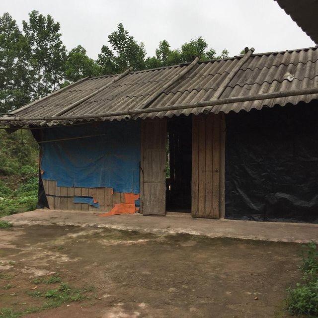 cau be vuot tram km di hoc tieng anh anh 1