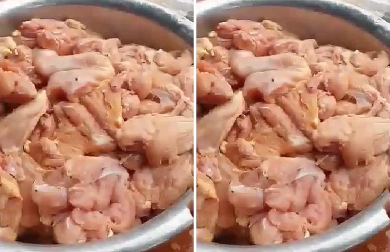 Nha cung cap noi gi ve 35 kg thit ga co 'mui la' vao truong hoc? hinh anh
