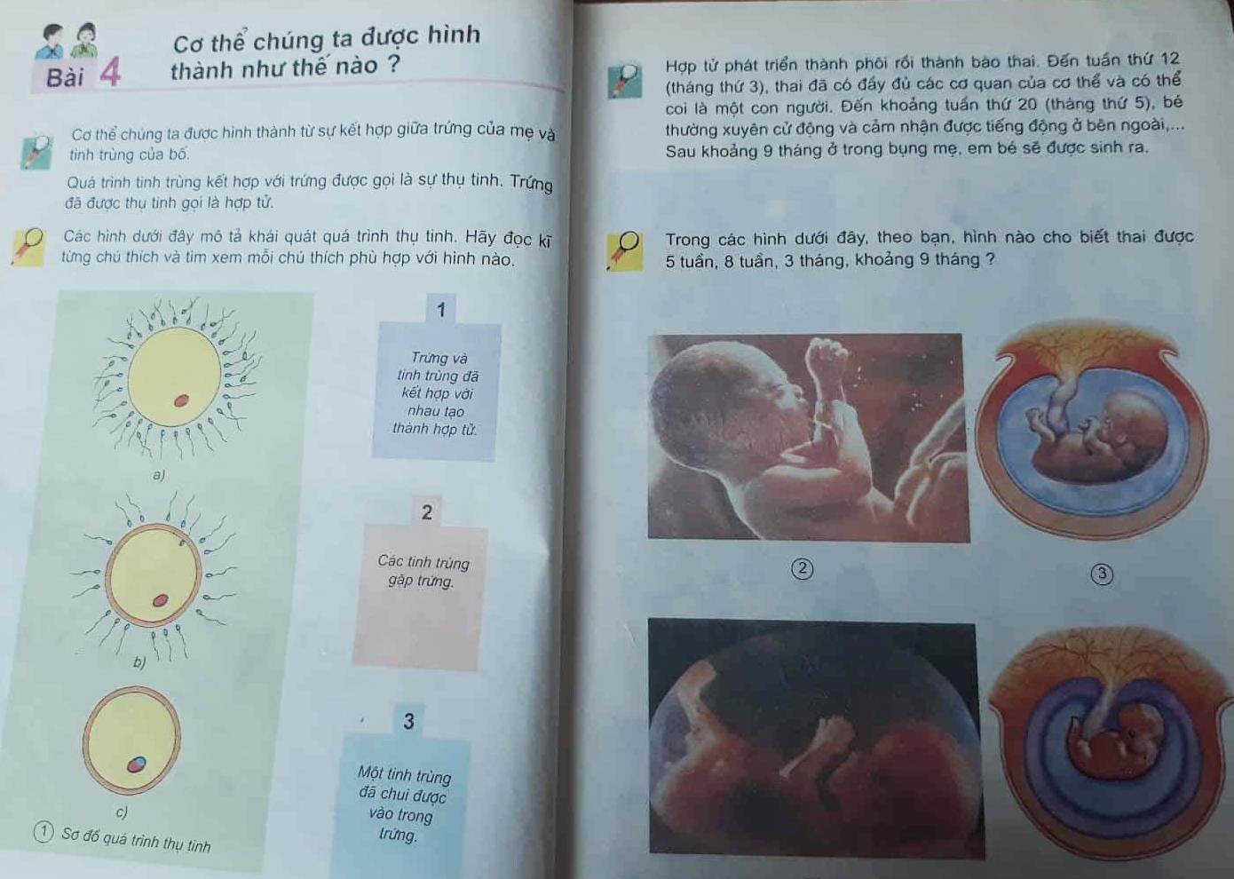 giáo dục giới tính ảnh 1 giao duc gioi tinh anh 1