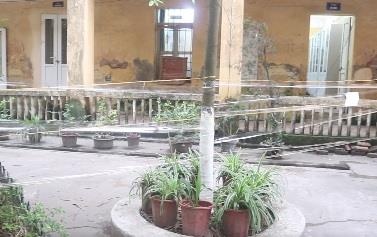 Truong hoc bi nghieng phai gia co van su dung vi khong co lop hinh anh