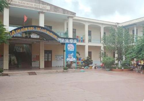 thịt lợn nghi nhiễm sán ở trường ảnh 1 thit lon nghi nhiem san o truong anh 1