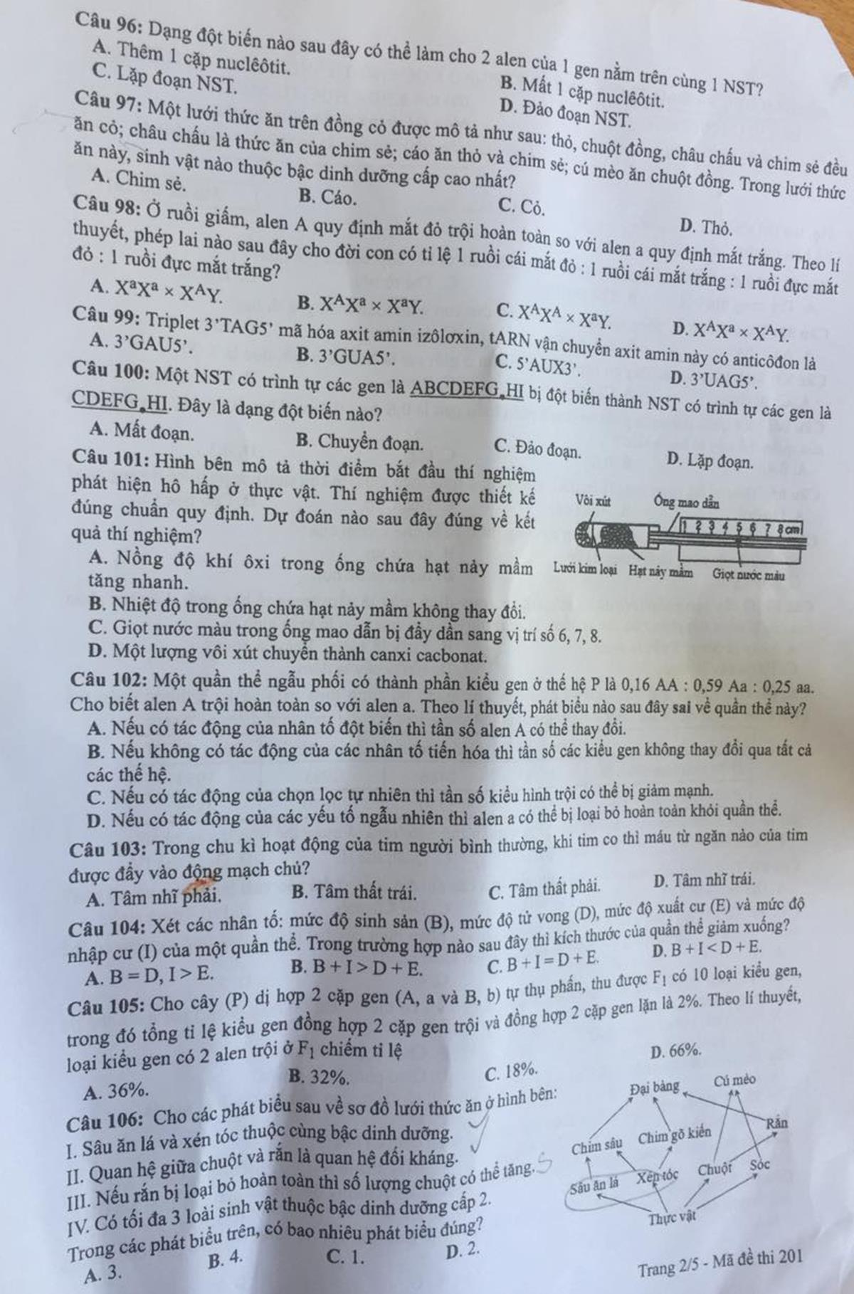 Đề thi 2019 ảnh 2 De thi 2019 anh 2
