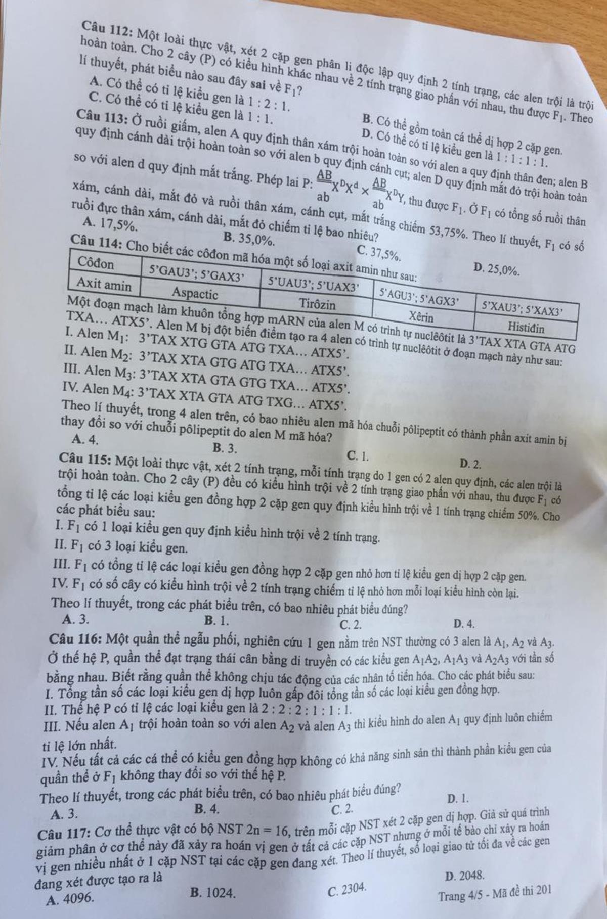 Đề thi 2019 ảnh 4 De thi 2019 anh 4