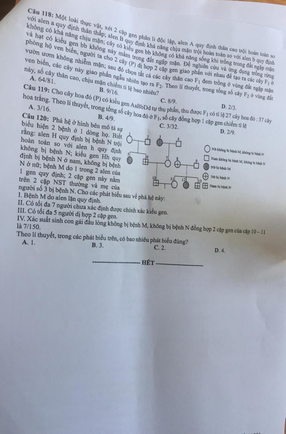 Đề thi 2019 ảnh 5 De thi 2019 anh 5
