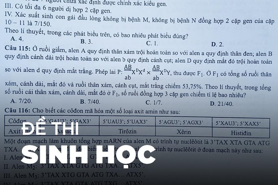 De thi mon Sinh hoc THPT quoc gia 2019 hinh anh