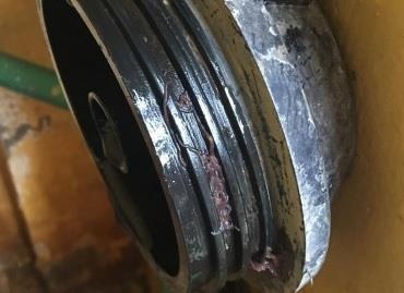 'Chua phat hien giun san trong loi loc nuoc o DH Kinh te Quoc dan' hinh anh