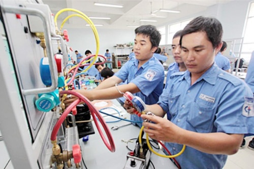 dao tao hoc nghe anh 3