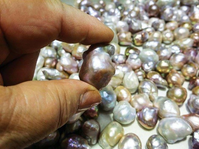 giun dat co mat khong anh 2