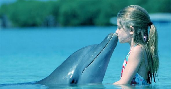 sinh vật không bao giờ chết ảnh 5 sinh vat khong bao gio chet anh 5