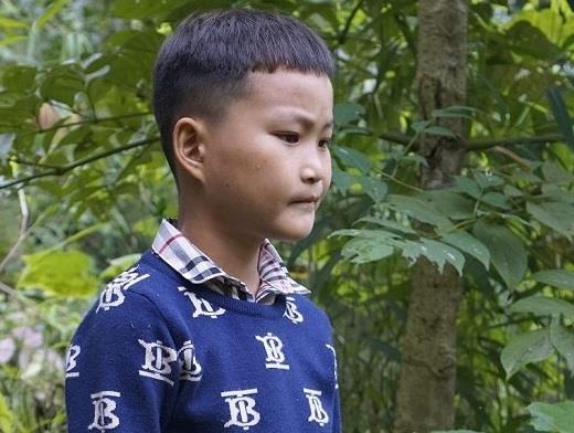 Cau be song co doc giua rung duoc hoc truong noi tru hinh anh