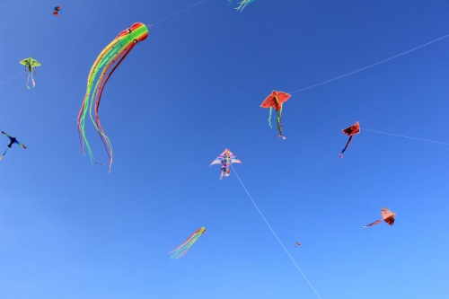 nấu cơm trên đỉnh núi ảnh 5 nau com tren dinh nui anh 5