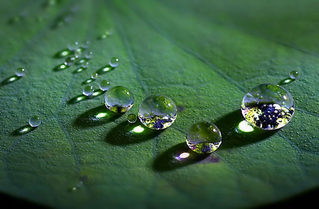 nấu cơm trên đỉnh núi ảnh 4 nau com tren dinh nui anh 4