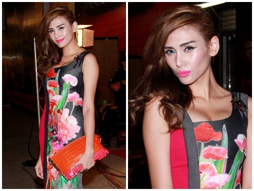 Hoang Yen xuat hien hoc hac giua on ao 'moi tien' Viet kieu hinh anh