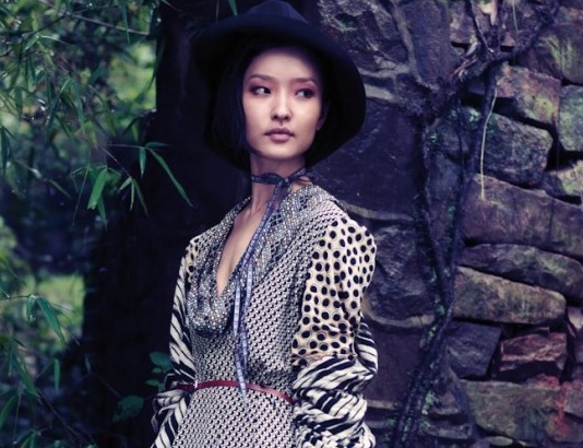 Cuoc 'xam lang' ngoan muc cua cac chan dai chau A hinh anh