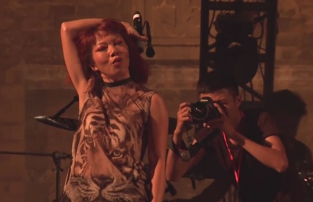 Det tam gai - Ha Tran hinh anh