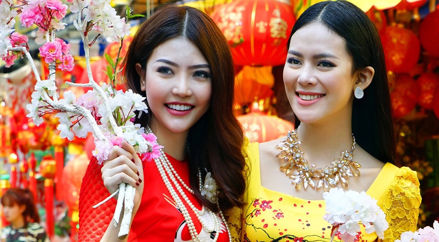 Dan mau Viet xung xinh ao dai xuong pho xuan hinh anh