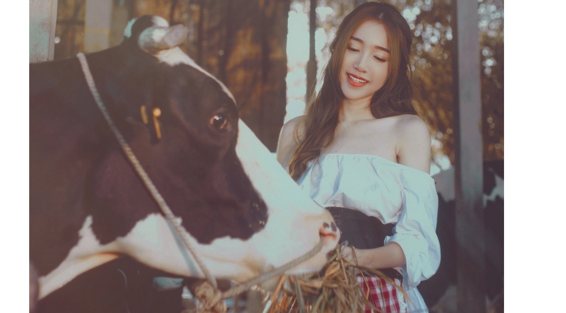 Elly Tran hoa Lo Lem trong trang trai nuoi bo hinh anh