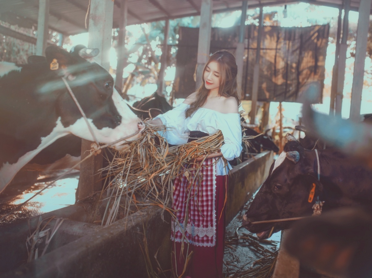 Elly Trần làm lọ lem ảnh 2 Elly Tran lam lo lem anh 2