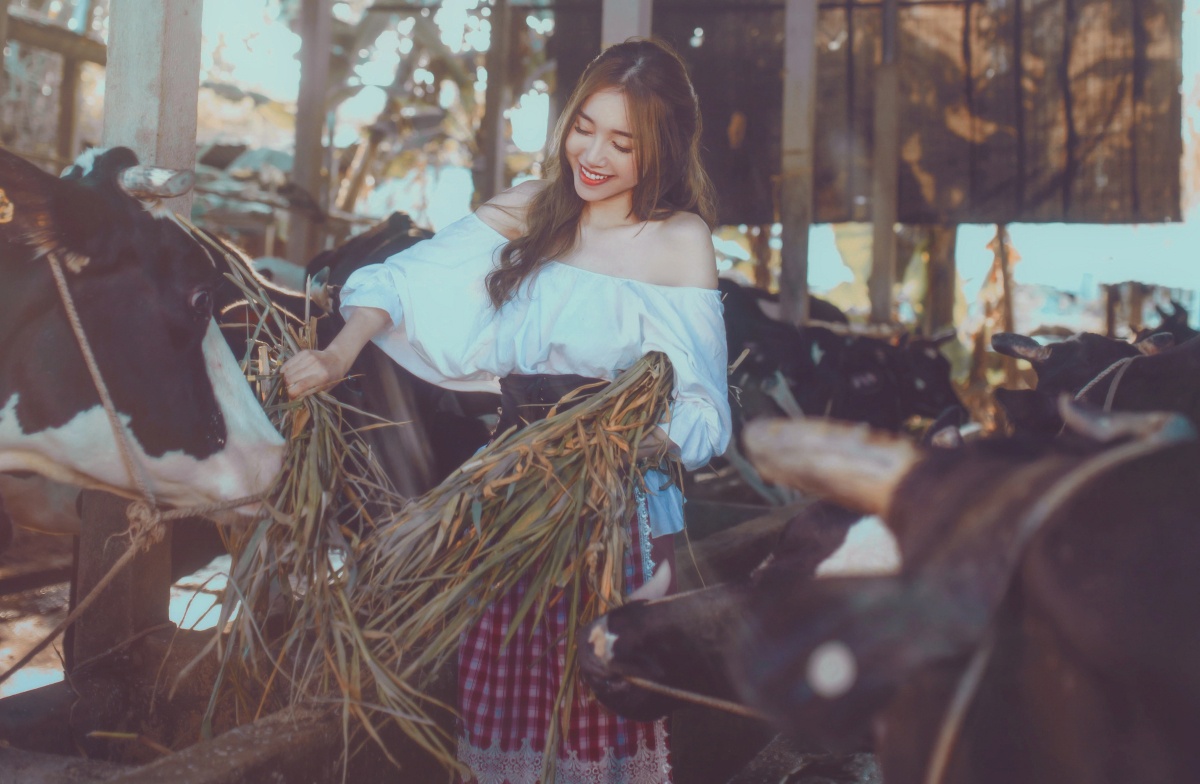 Elly Trần làm lọ lem ảnh 5 Elly Tran lam lo lem anh 5