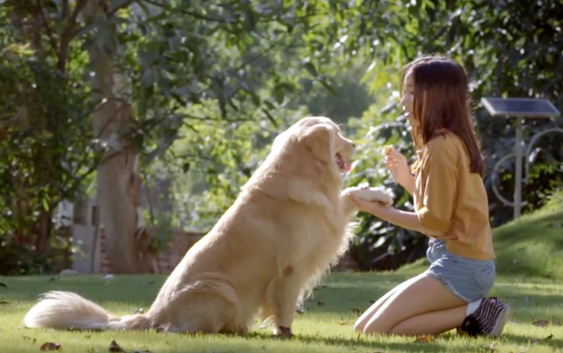 Con gái Mỹ Linh ra mắt MV Bi đúng ngày sinh nhật mẹ ảnh 1 Con gai My Linh ra mat MV Bi dung ngay sinh nhat me anh 1