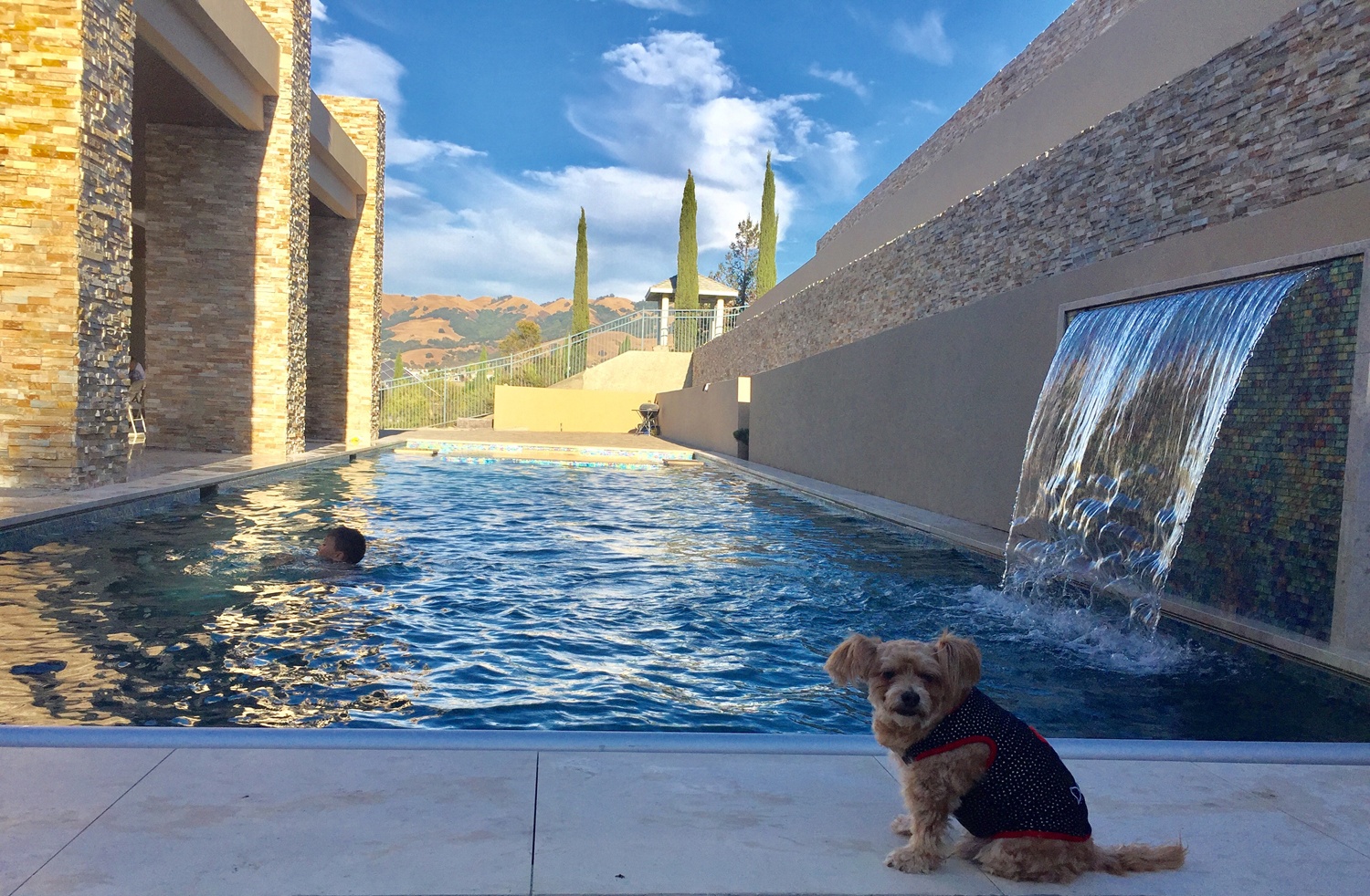 Vo chong Dan Truong don ve nha moi anh 2