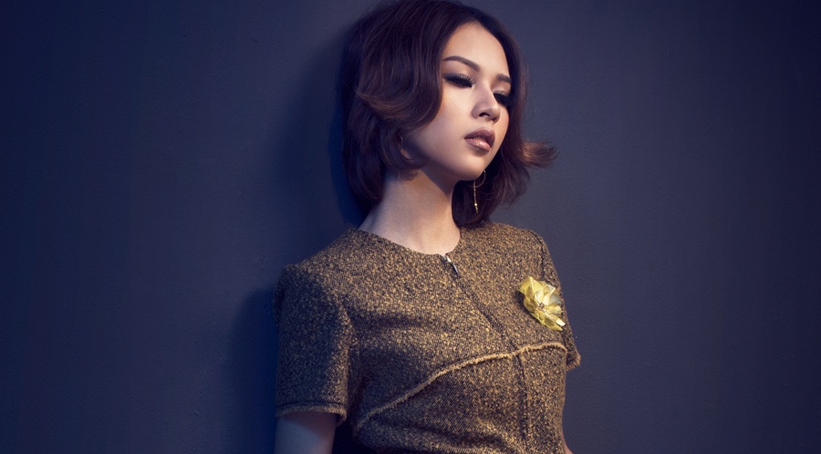 Phi Phuong Anh hoa quy co co dien hinh anh