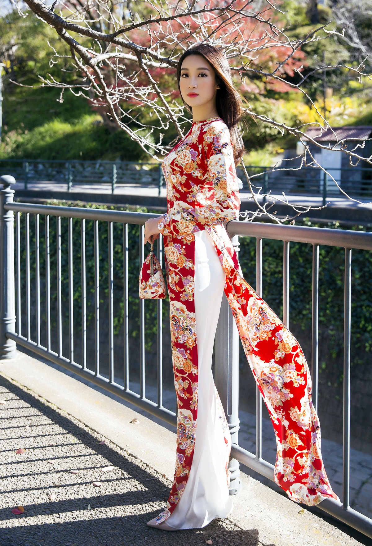 My Linh,  Thanh Tu cong tac o Nhat anh 3