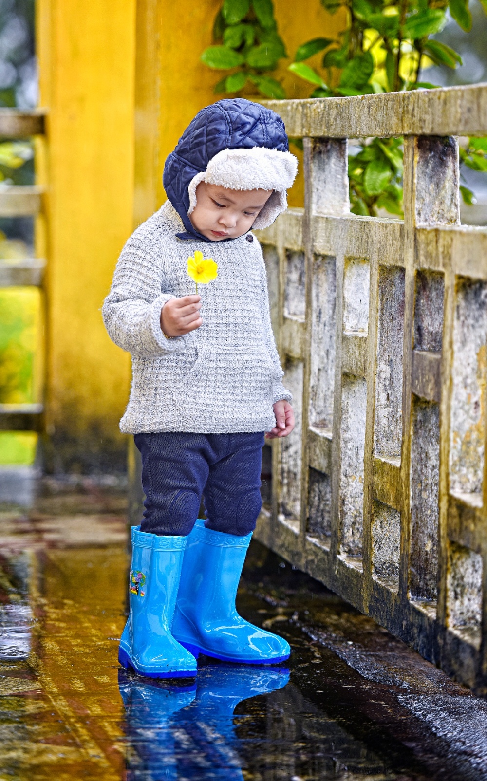 Con trai Diem Huong chup anh mung sinh nhat anh 6