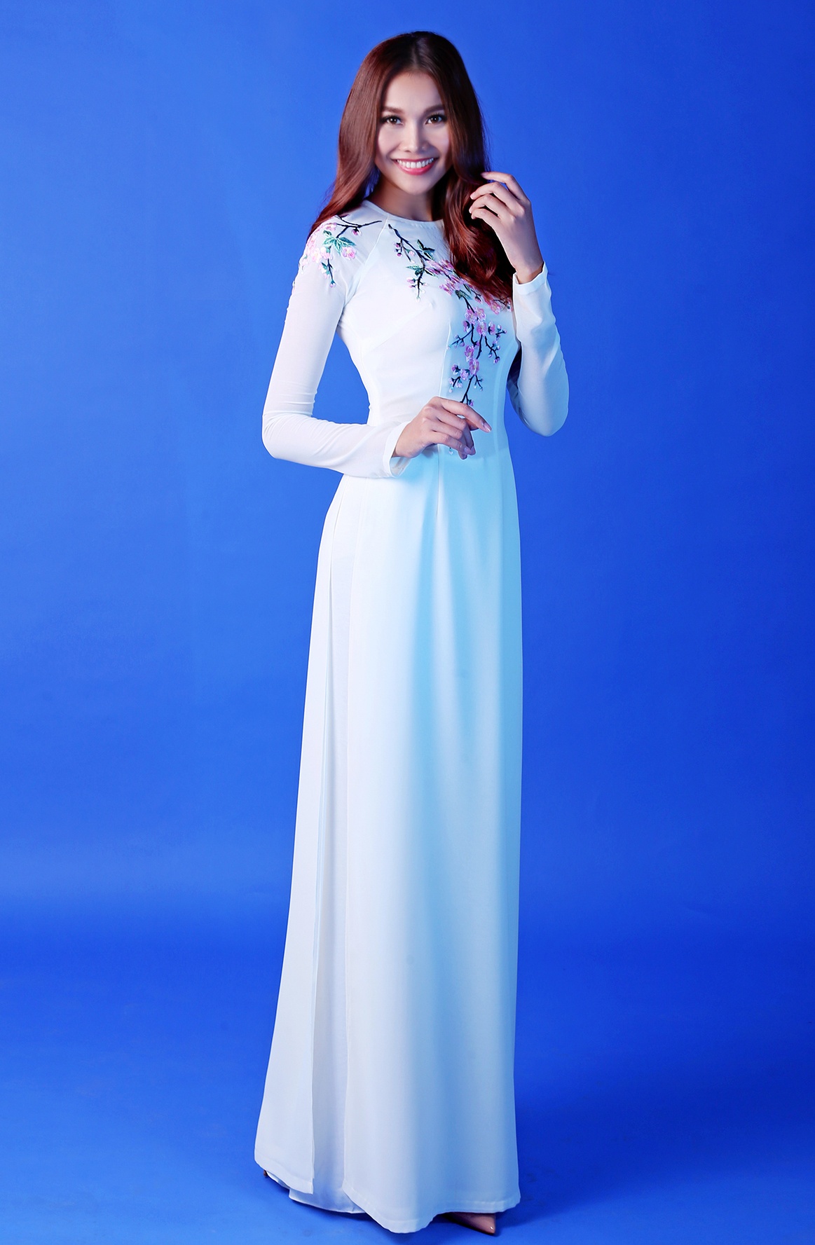 Hoa hau,  a hau hoi ngo trong bo anh Ha Noi 12 mua hoa anh 1