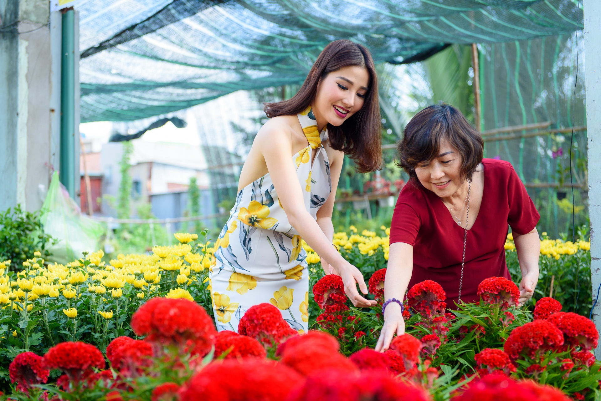 Diem My 9X trang tri nha cua don Tet anh 2