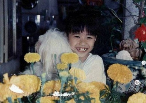 Sao Viet thoi ngo tau anh 11