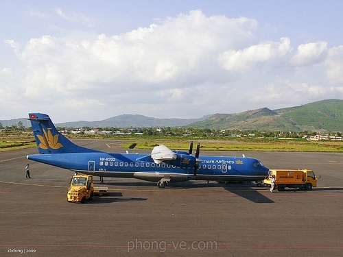 Cuc Hang khong cu nguoi ngan chan chim va vao may bay hinh anh