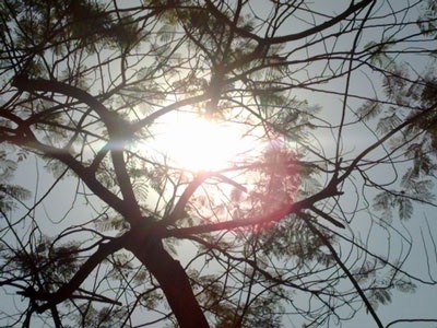 Hom nay mien Trung co noi nong tren 39 do C hinh anh