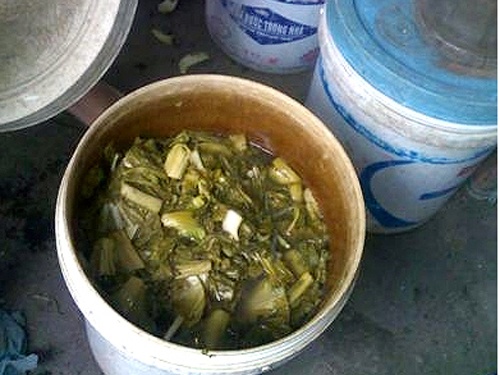 Nguy co ung thu tu dua, ca muoi dung trong thung son hinh anh