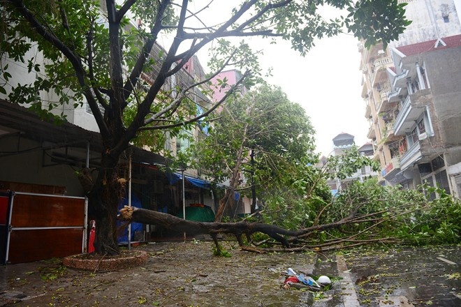 'Se co nhieu con bao phuc tap, khong theo quy luat' hinh anh