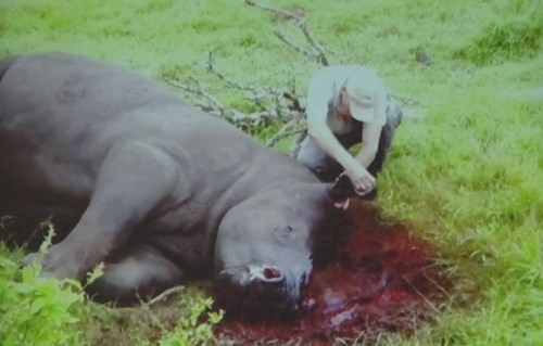 Sung te giac va noi xau ho cua nguoi Viet hinh anh