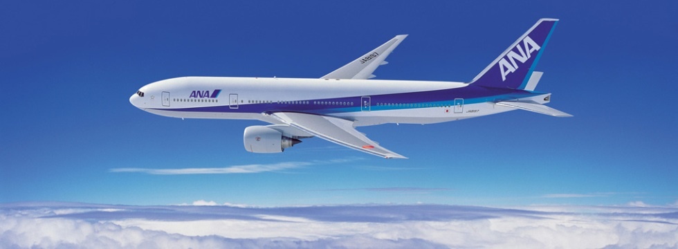 Nghi bi set danh, may bay Nhat nho VN kiem tra ky thuat hinh anh