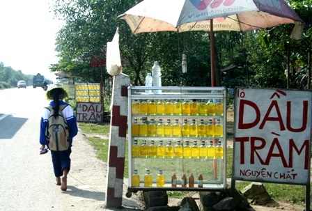 Dau tram co the ngua duoc dich dang so nhat the gioi? hinh anh